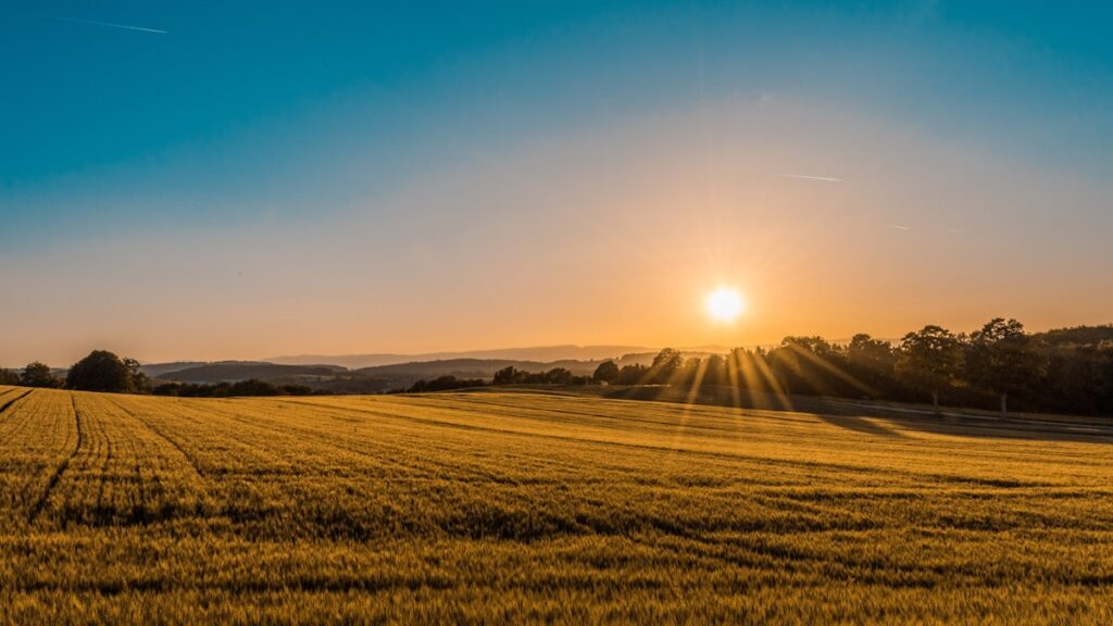Terreno Agricolo con Rustico